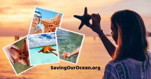 SavingOurOcean-Starfish-Selfies_1200x628
